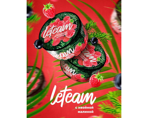 Бестабачная смесь для кальяна leTeam с Хвойной Малиной - 25 гр