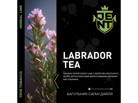 Новый вкус от Jent / Джент Labrador Tea Новый вкус от Jent / Джент Labrador Tea