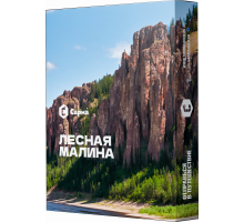 Табак для кальяна Сарма Лесная Малина - 25 гр
