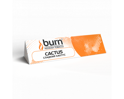 Табак для кальяна Burn Cactus  (Берн - Кактус) - 25 гр
