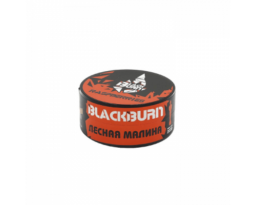 Табак для кальяна BlackBurn Raspberries (БлэкБерн - Малина) - 25 гр
